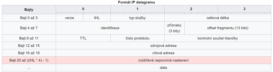 IP datagram
